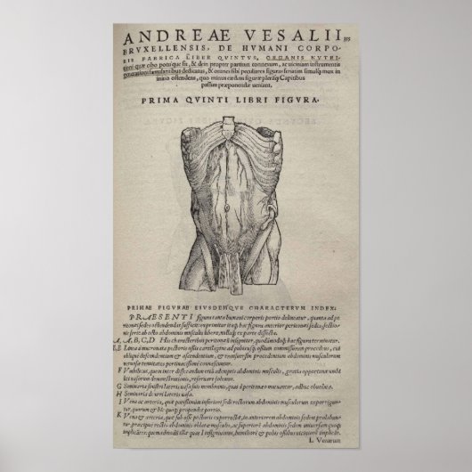 Poster De Humani Corporis (Devant)