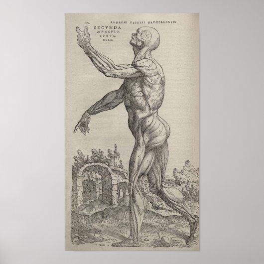 Poster De Humani Corporis (Devant)