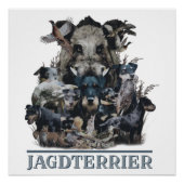 Poster de Jagdterrier, German Hunter Terrier (Devant)