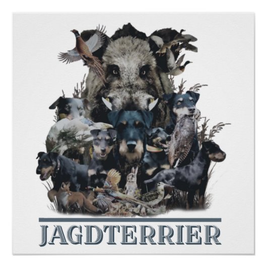 Poster de Jagdterrier, German Hunter Terrier (Devant)