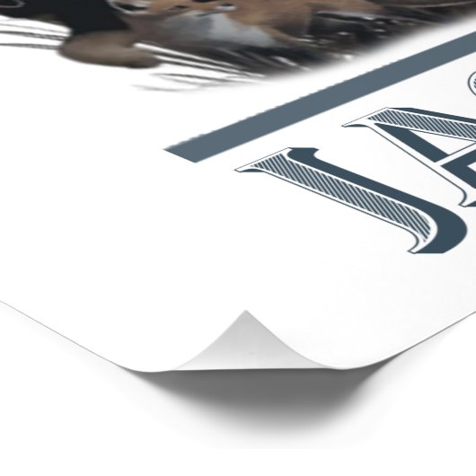 Poster de Jagdterrier, German Hunter Terrier (Coin)