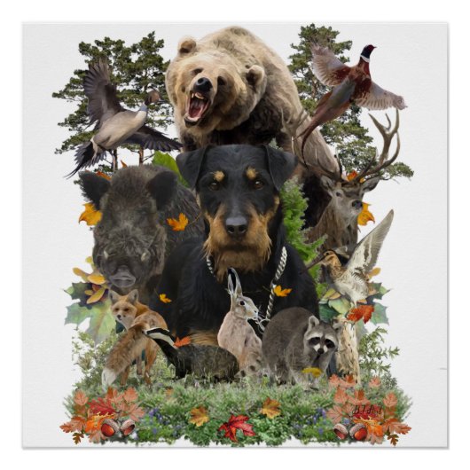 Poster de Jagdterrier, German Hunter Terrier (Devant)