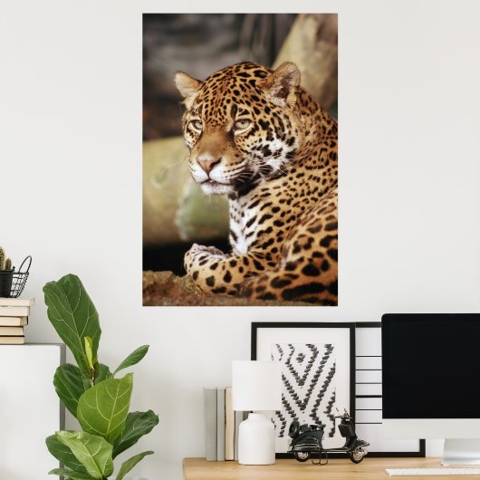 Poster de Jaguar (Bureau à domicile)