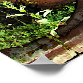 Poster de Jalopy (Coin)