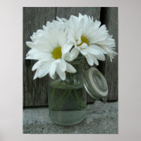 Poster de Jar Of Daisies & Barn Wood