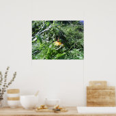 Poster de jardin - Graines de jardin Choquant Post (Cuisine)