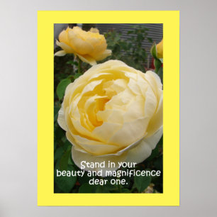 Poster de jardin naturel des Roses de rose jaune