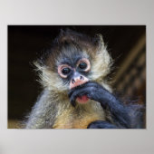 Poster de jazz (Devant)