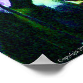 Poster de Jeff Marella (Coin)