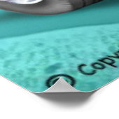 Poster de Jimmy (Coin)