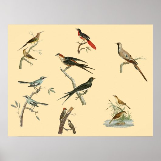 Poster de Johann Lebrecht Reinold (Devant)