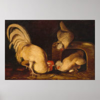 Poster de John James Audubon sur les beaux-arts