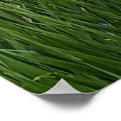 Poster De jolies iris floraux violets (Coin)