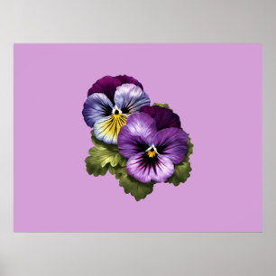 Poster De Jolies Pansies Violettes