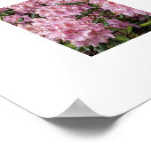 Poster De jolis rhododendrons roses floraux (Coin)