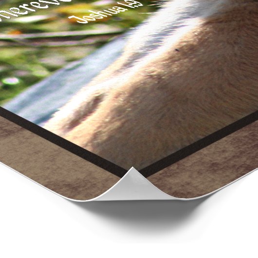 Poster de Joshua 1:9 Tiger (Coin)