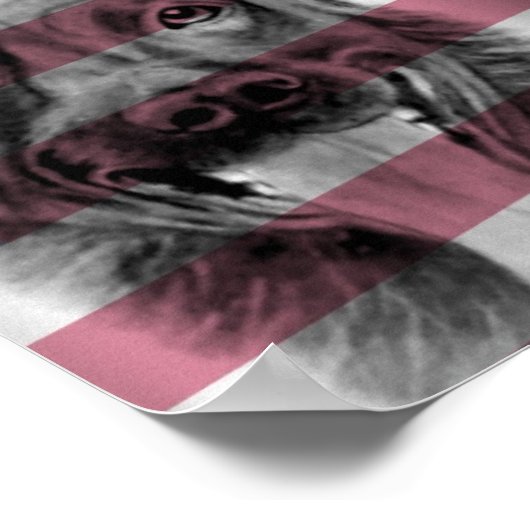 Poster de K9 Dutch Shepherd oeuvre originale (Coin)