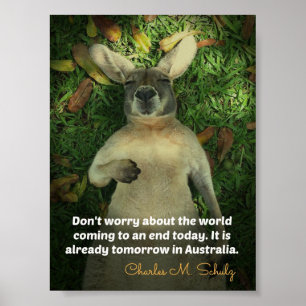 Poster de Kangaroo en Australie mignonne