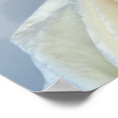 Poster De Kathleen Roberts (@MarilynMonReview) (Coin)