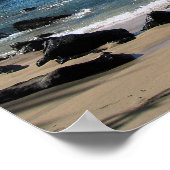 Poster de Kauai (Coin)