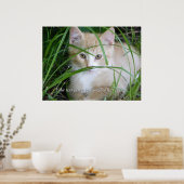 Poster de Kitten jaune en haute herbe (Cuisine)