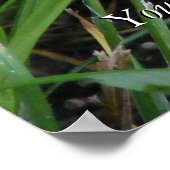 Poster de Kitten jaune en haute herbe (Coin)