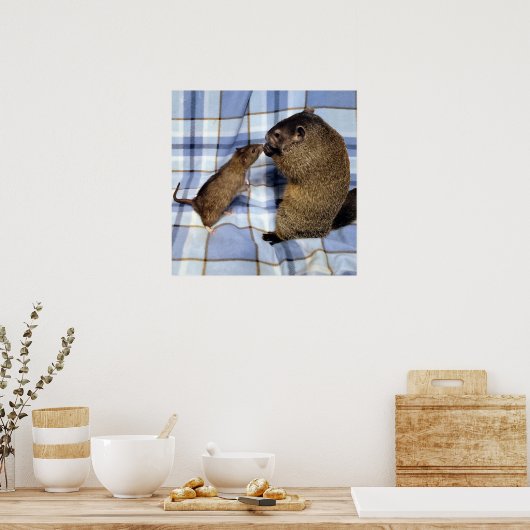 Poster de Koa et Caleb (Cuisine)