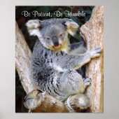 Poster de Koala Bears (Devant)