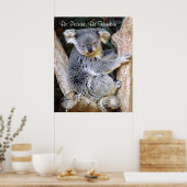 Poster de Koala Bears (Cuisine)