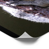 Poster de Koala in Tree (Coin)