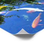 Poster de Koi (Coin)