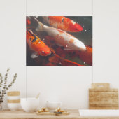 Poster de Koi (Cuisine)