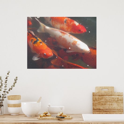 Poster de Koi (Cuisine)