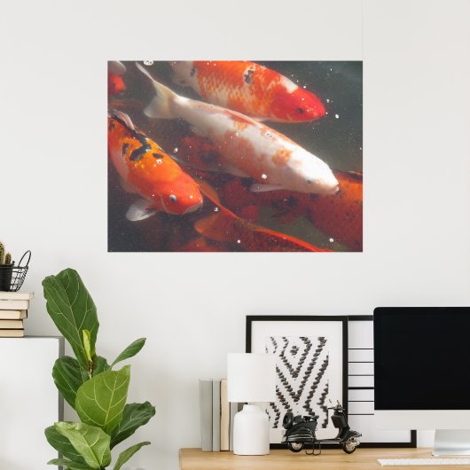 Poster de Koi (Bureau à domicile)