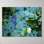 Poster de Koi Pond (Devant)