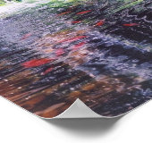 Poster de Koi Pond (Coin)