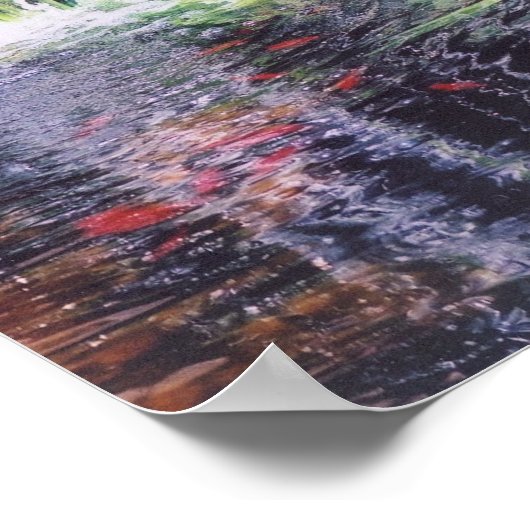Poster de Koi Pond (Coin)