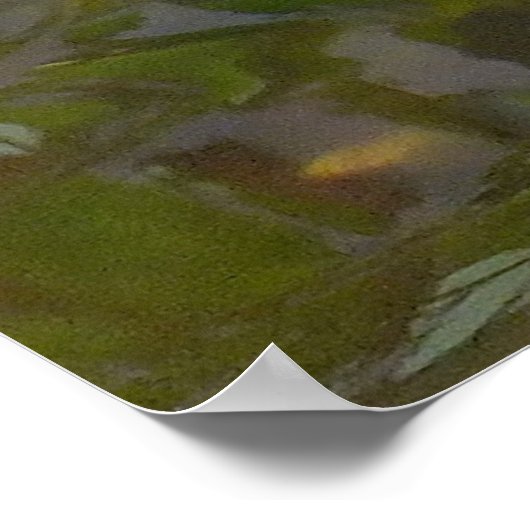 Poster de Koi Pond (Coin)