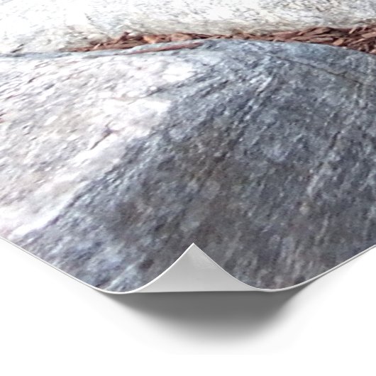 Poster de Koi Pond avec cascade (Coin)