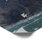 Poster de la baie Glacier 7 (Coin)