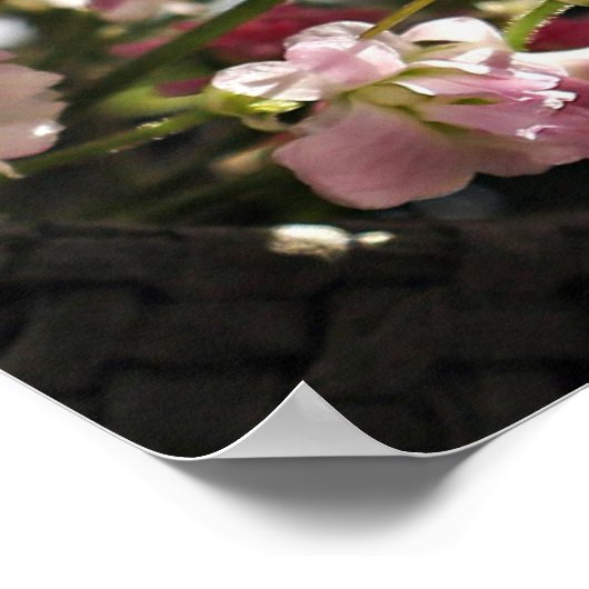 Poster de la Bible (Coin)