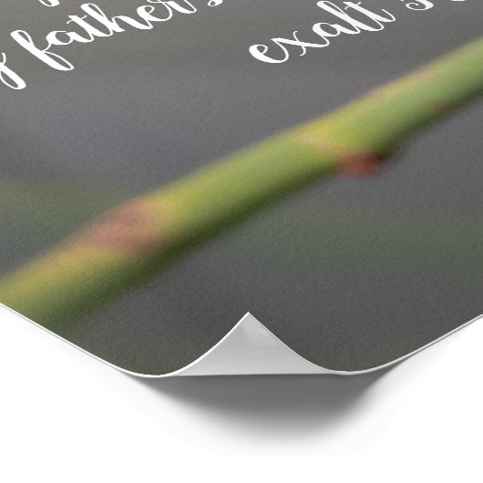 Poster de la Bible (Coin)