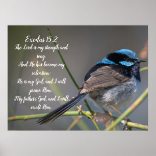 Poster de la Bible