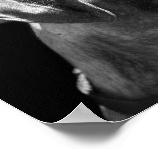 Poster de la boîte (Coin)