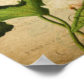 Poster de la Botanique vintage - Lotus français (Coin)