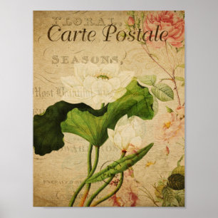 Poster de la Botanique vintage - Lotus français