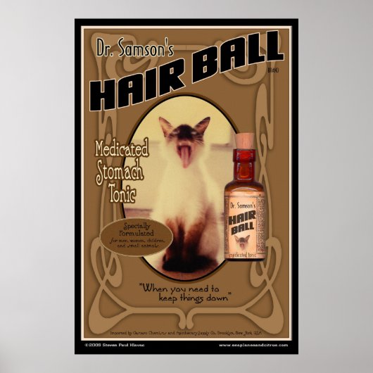 Poster de la boule de cheveux (Devant)
