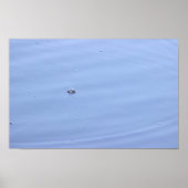 Poster de la bulle dans l'étang (Devant)