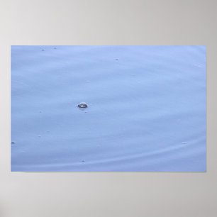 Poster de la bulle dans l'étang