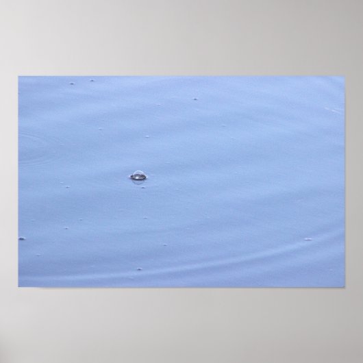 Poster de la bulle dans l'étang (Devant)